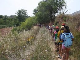 Campamentos de verano 2024