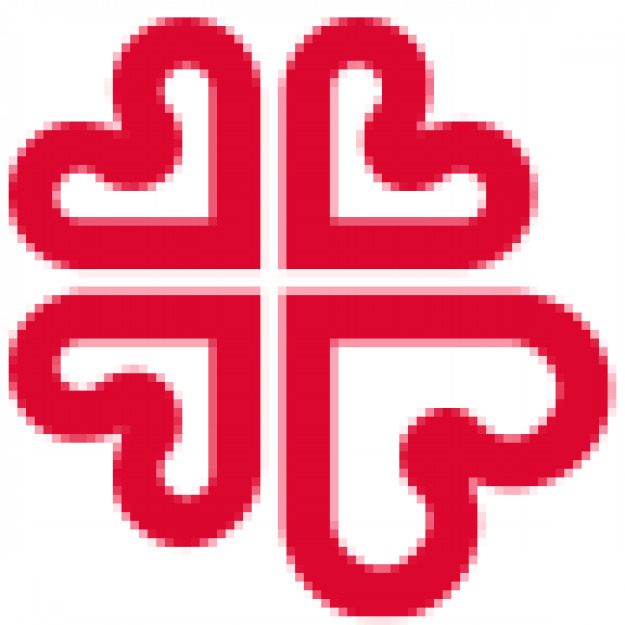 CARITAS MADRID